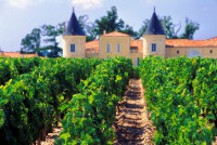 /album/especial%20ch%c3%a2teaux/bordeaux-chateau-jpg/